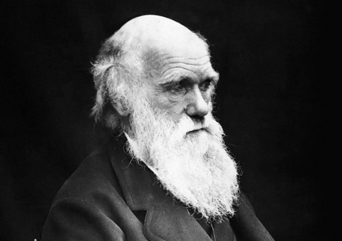 charles-darwin