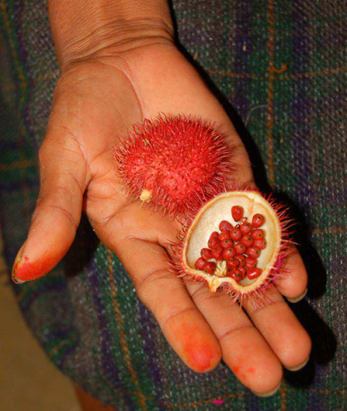 Rocou (ou roucou, annatto, achiote)