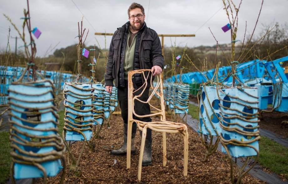 L’homme qui faisait pousser des chaises naturellement