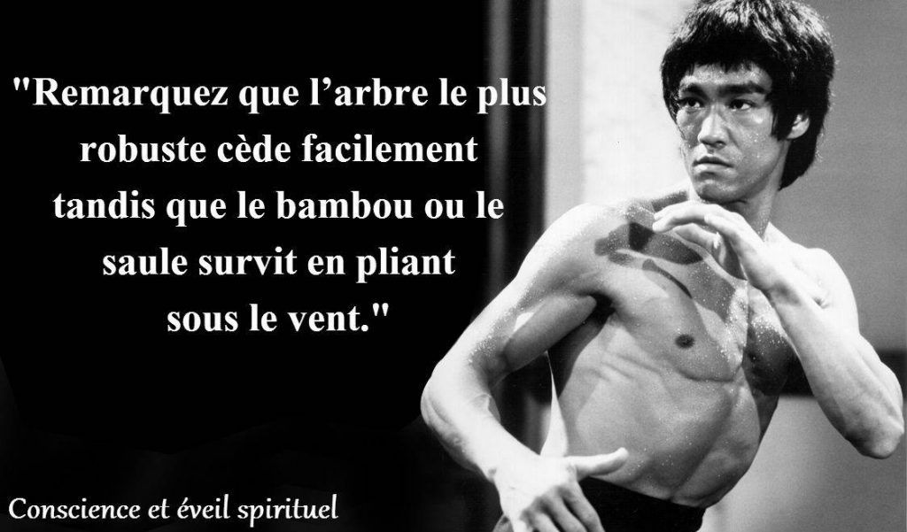 25 CITATIONS DE BRUCE LEE SUR LA MAÎTRISE DE SOI ET LA CONSCIENCE
