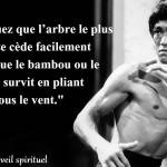 citations de bruce lee