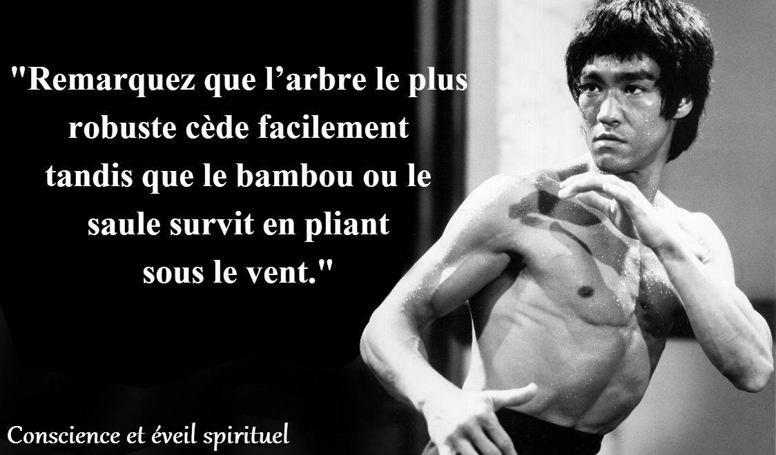 citations de bruce lee