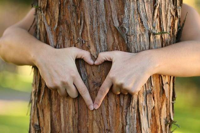 contact avec les arbres