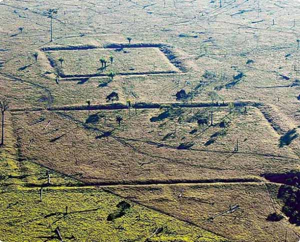 geoglyphes-amazonie-2