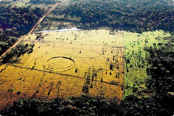 geoglyphes-amazonie