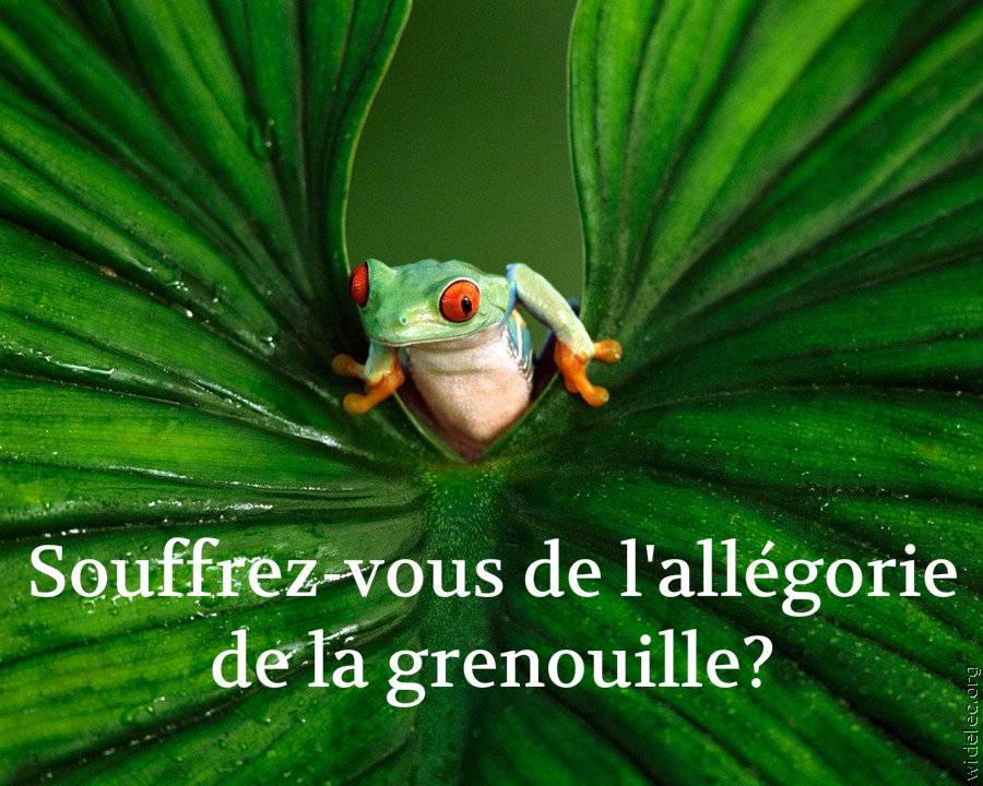 allégorie de la grenouille