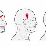 points d'acupression