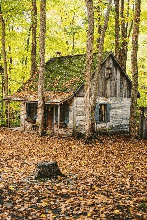 cabin