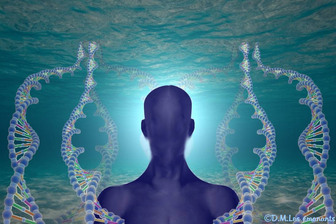 La Mémoire De L Eau La Destrousse