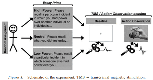 tms