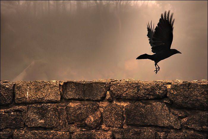 Paul Eluard Il N Y A Pas De Hasard Il N Y A Que Des Rendez Vous Conscience Et Eveil Spirituel