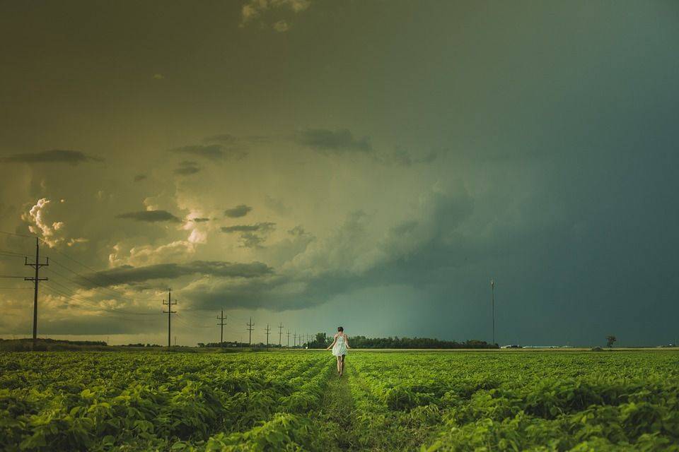 Sur Le Terrain, Femme, Marche, Ferme, Rural, Pays