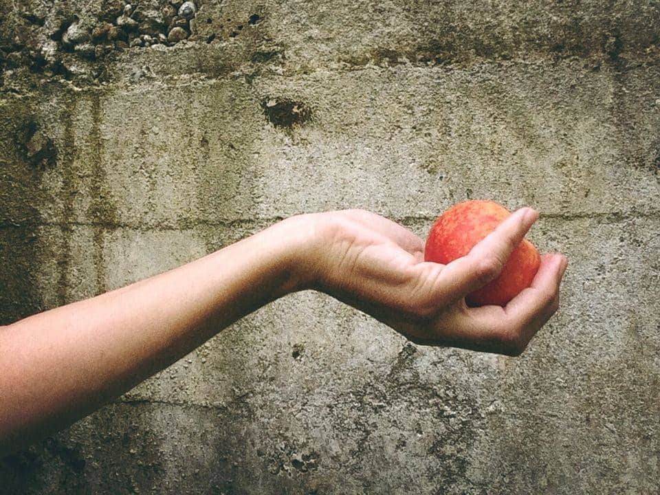 Pêche, Fruits, Main, Donner