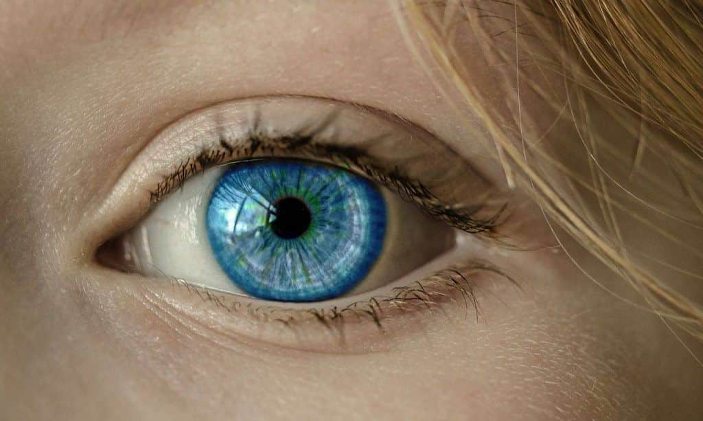 LA VISUALISATION : LES YEUX DE L’ESPRIT