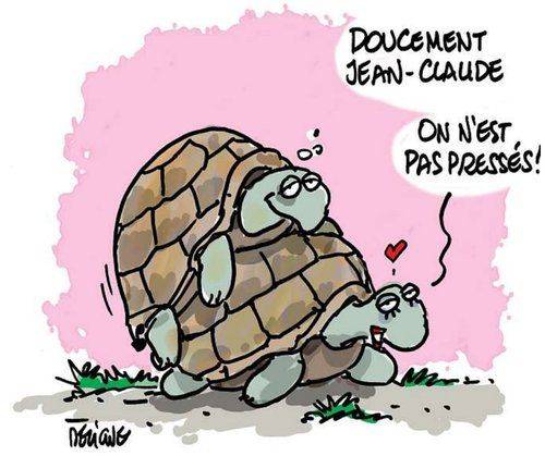 AMOUR EN CONSCIENCE