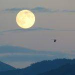 En tant qu’être humain, nous sommes souvent fascinés par l’astre lunaire. Il est loin mais proche à la fois.