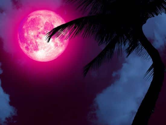 pleine lune rose magique