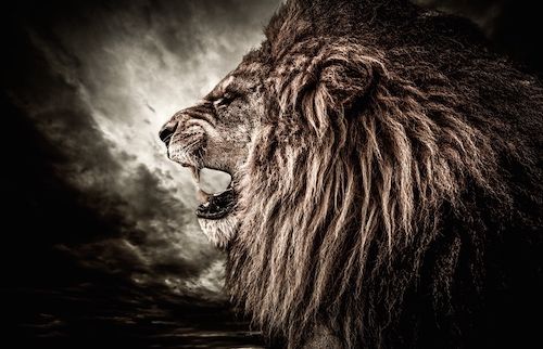 Mercure entre en Lion