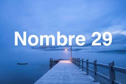 Nombre 29