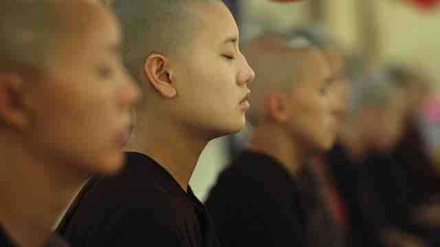 cours en ligne sur le bouddhisme 