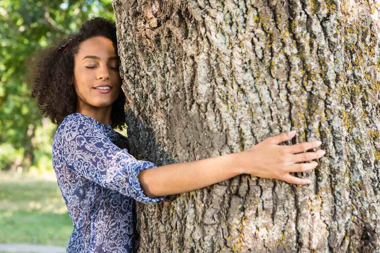 CONTACT AVEC LES ARBRES